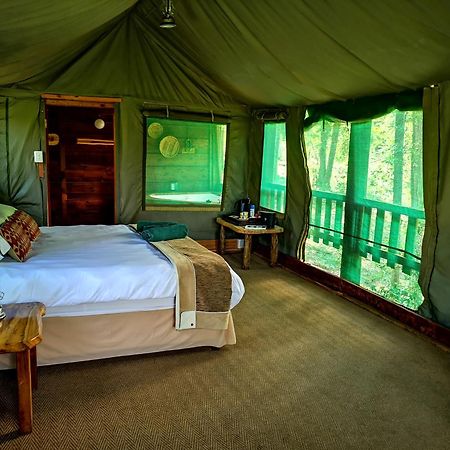 Fernhill Tented Treehouses Rheenendal Exteriér fotografie