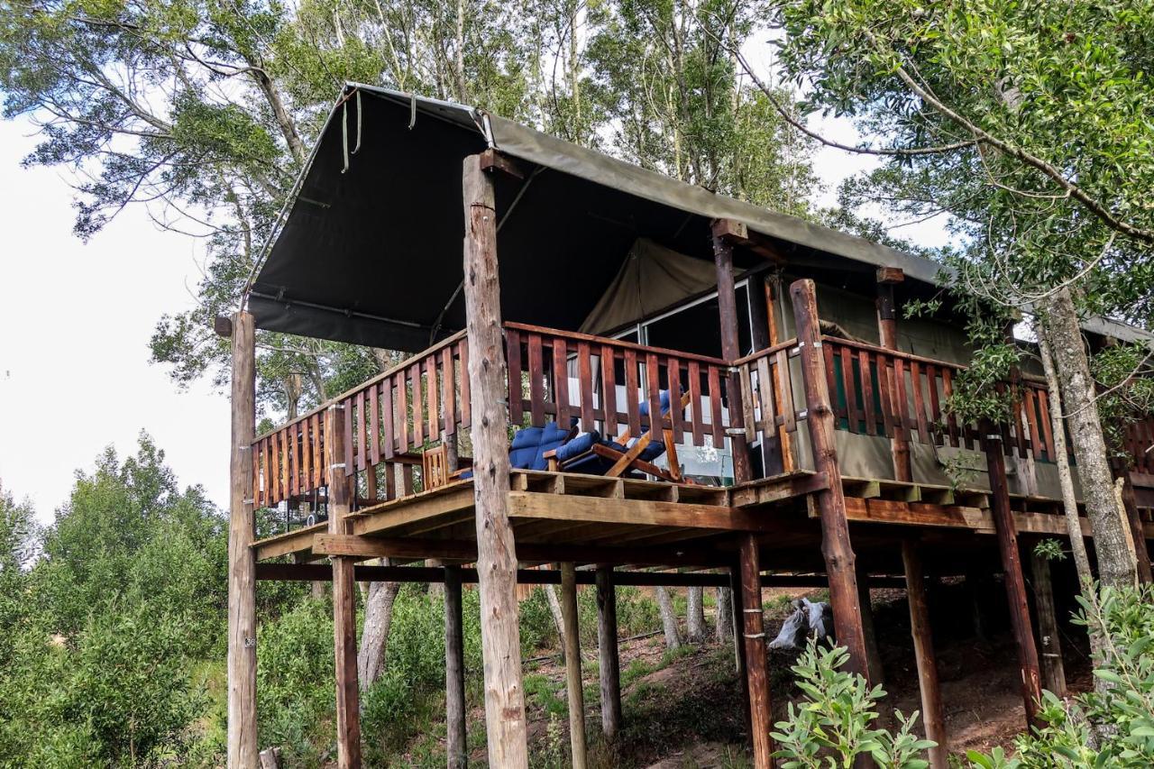 Fernhill Tented Treehouses Rheenendal Exteriér fotografie