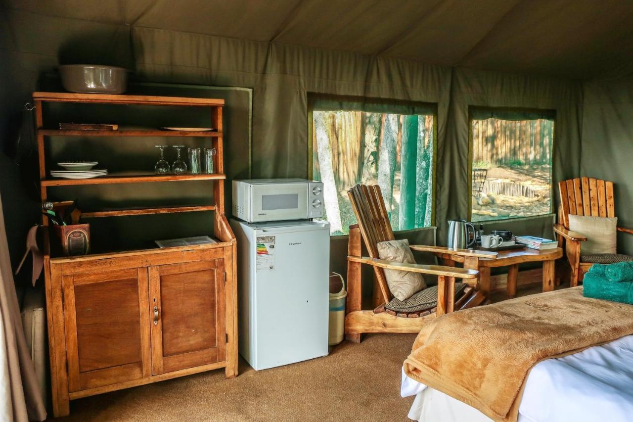 Fernhill Tented Treehouses Rheenendal Exteriér fotografie