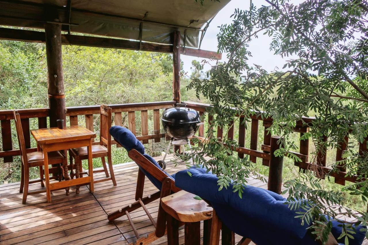 Fernhill Tented Treehouses Rheenendal Exteriér fotografie