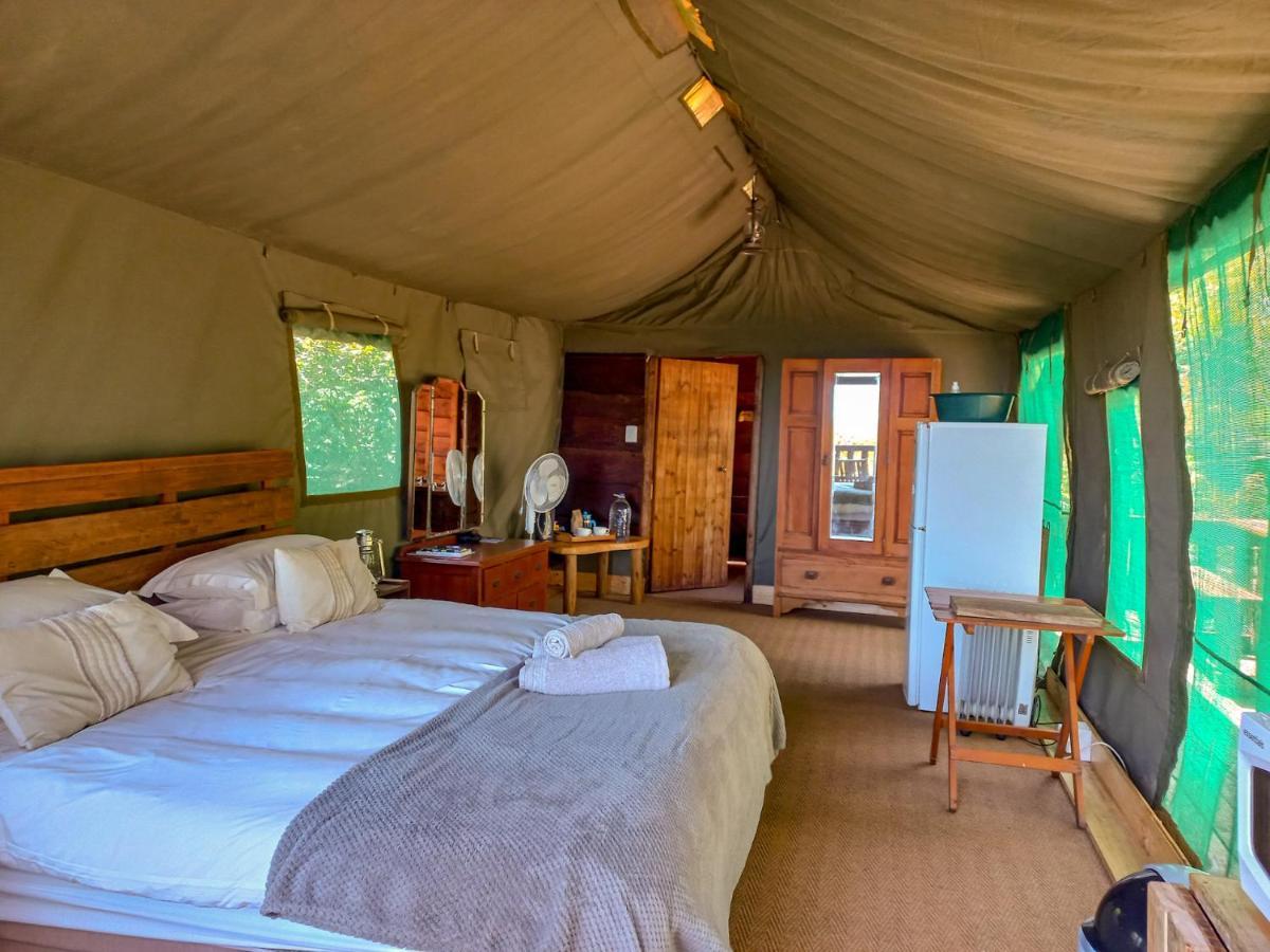 Fernhill Tented Treehouses Rheenendal Exteriér fotografie