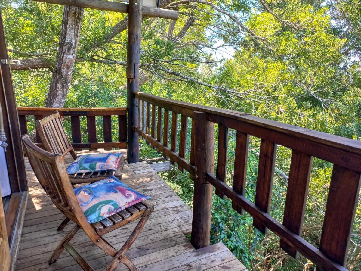 Fernhill Tented Treehouses Rheenendal Exteriér fotografie