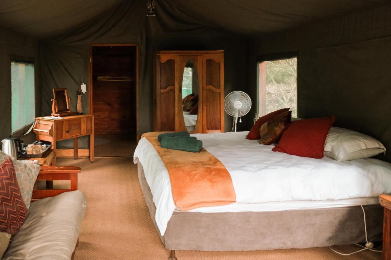 Fernhill Tented Treehouses Rheenendal Exteriér fotografie