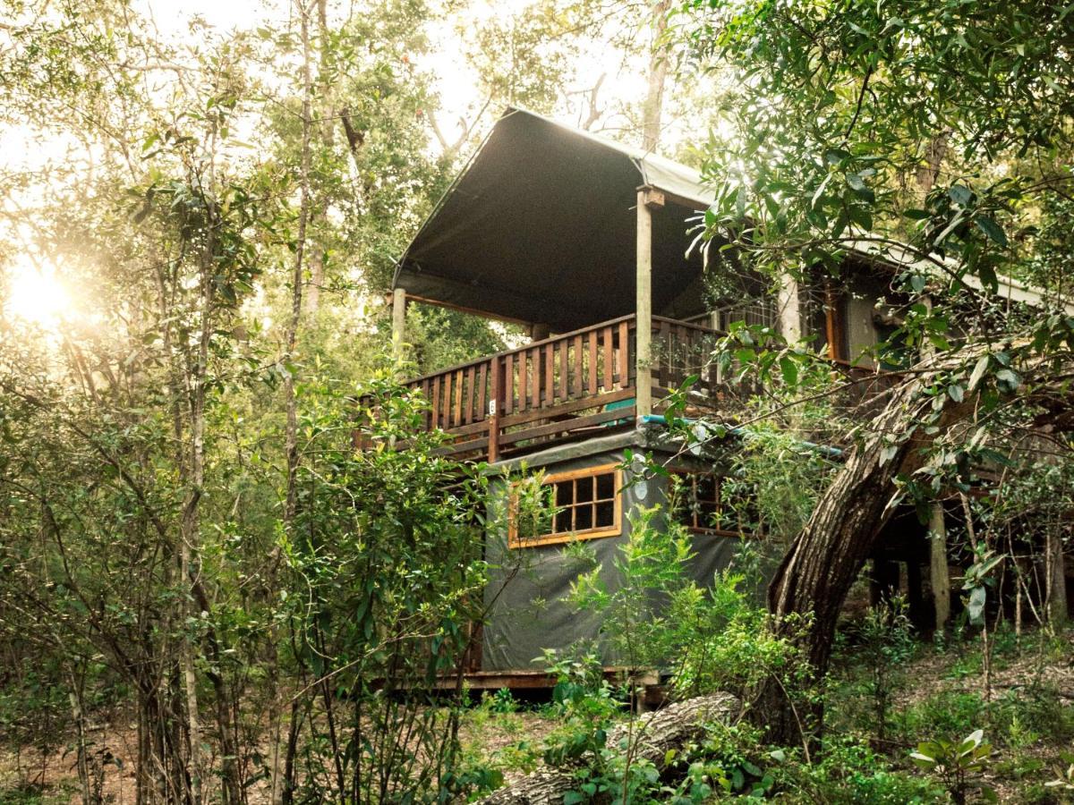 Fernhill Tented Treehouses Rheenendal Exteriér fotografie