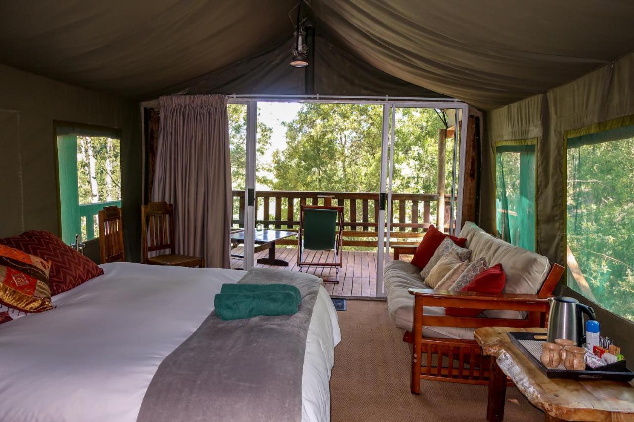 Fernhill Tented Treehouses Rheenendal Exteriér fotografie