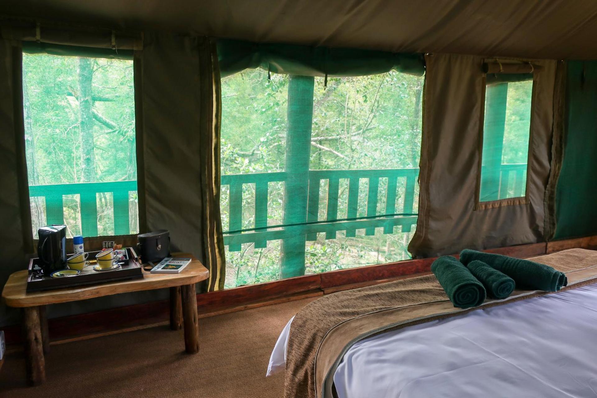 Fernhill Tented Treehouses Rheenendal Pokoj fotografie