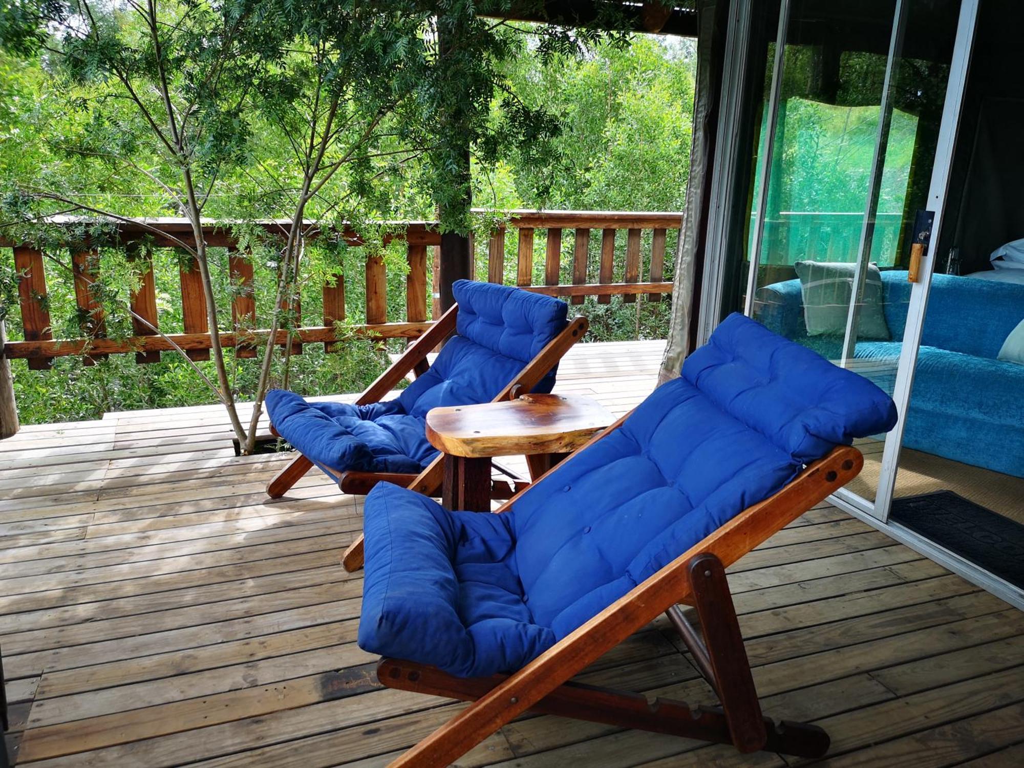 Fernhill Tented Treehouses Rheenendal Pokoj fotografie