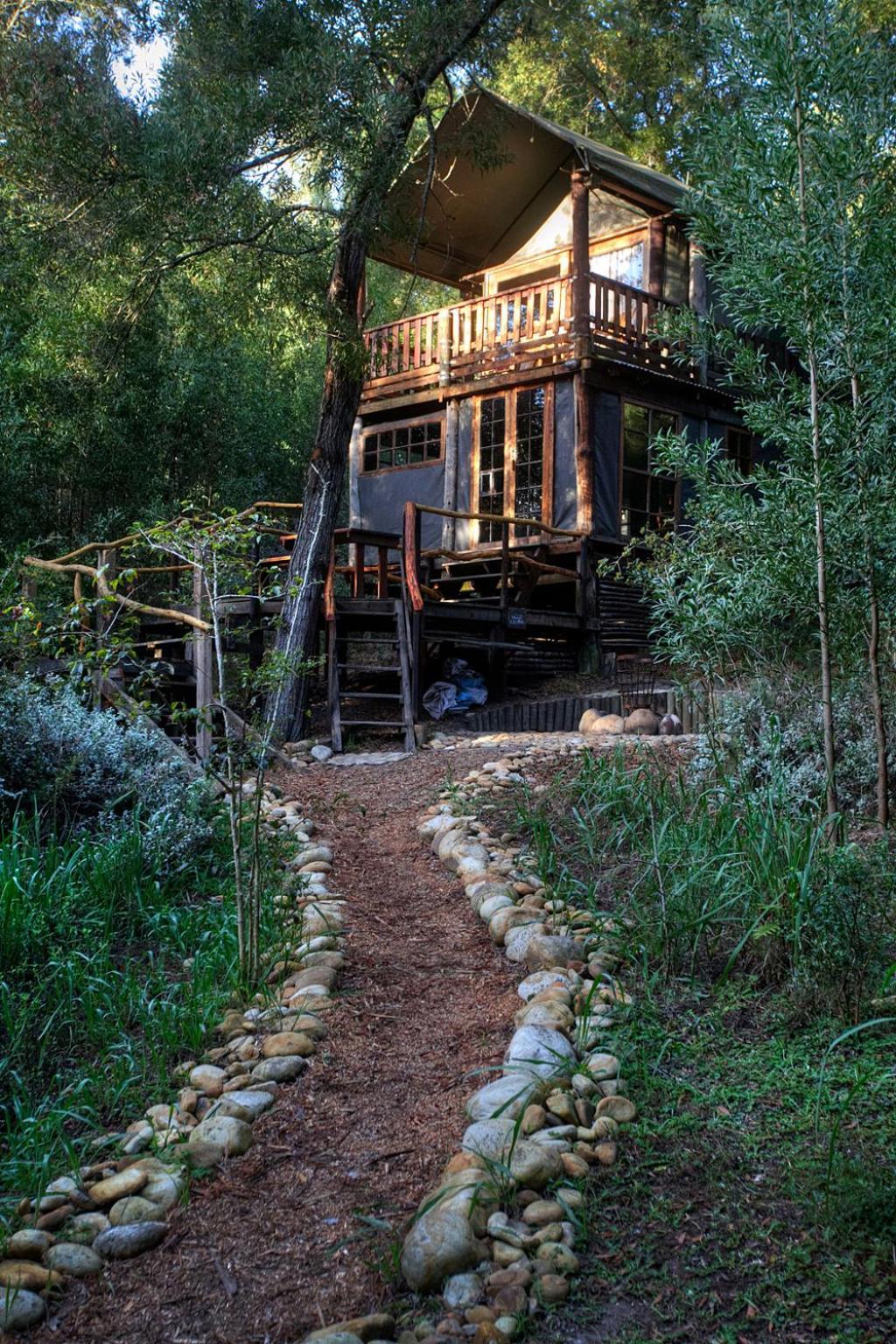 Fernhill Tented Treehouses Rheenendal Pokoj fotografie