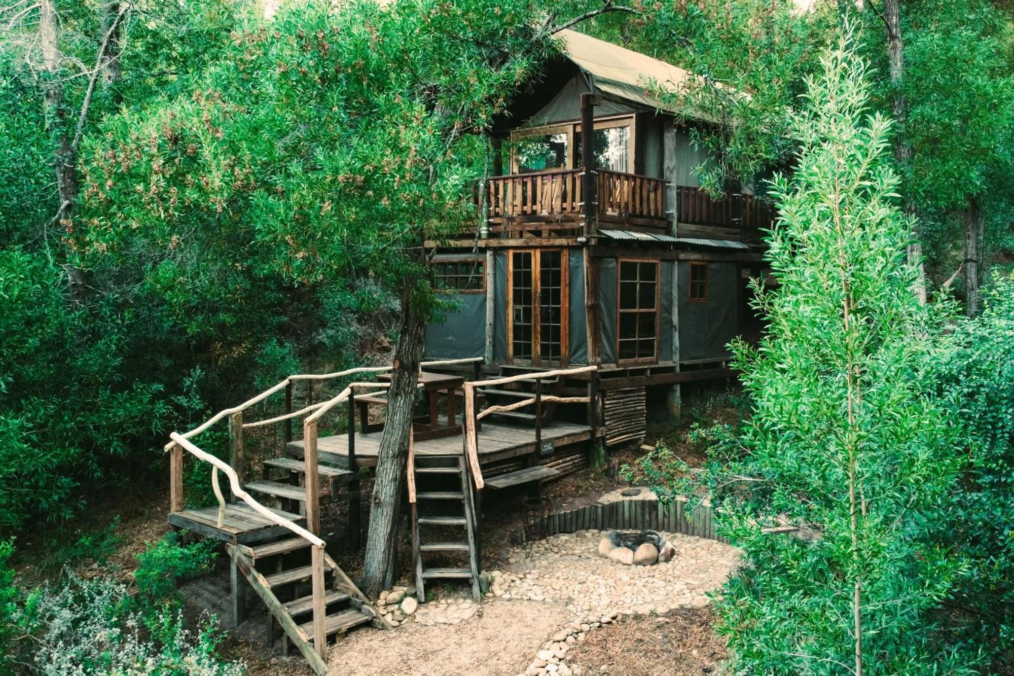 Fernhill Tented Treehouses Rheenendal Exteriér fotografie